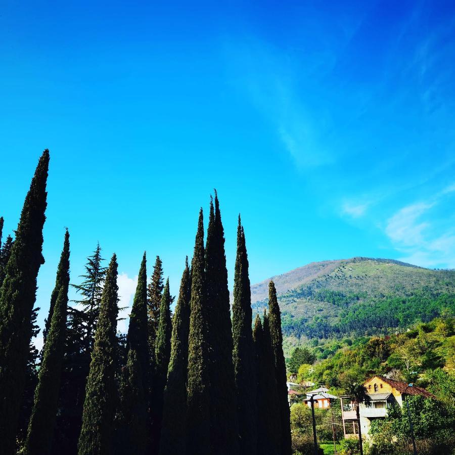 Gega Hotel Gagra Exterior foto
